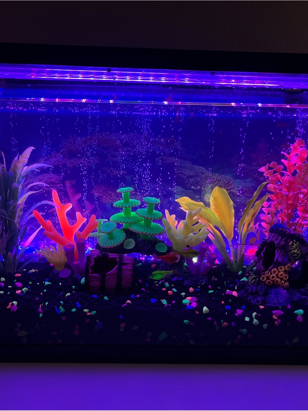 Assorted Aquarium Plants & Coral Decorations - EUC